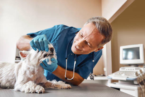 Best After-Hours Dental Trauma Care in Mccoll, SC